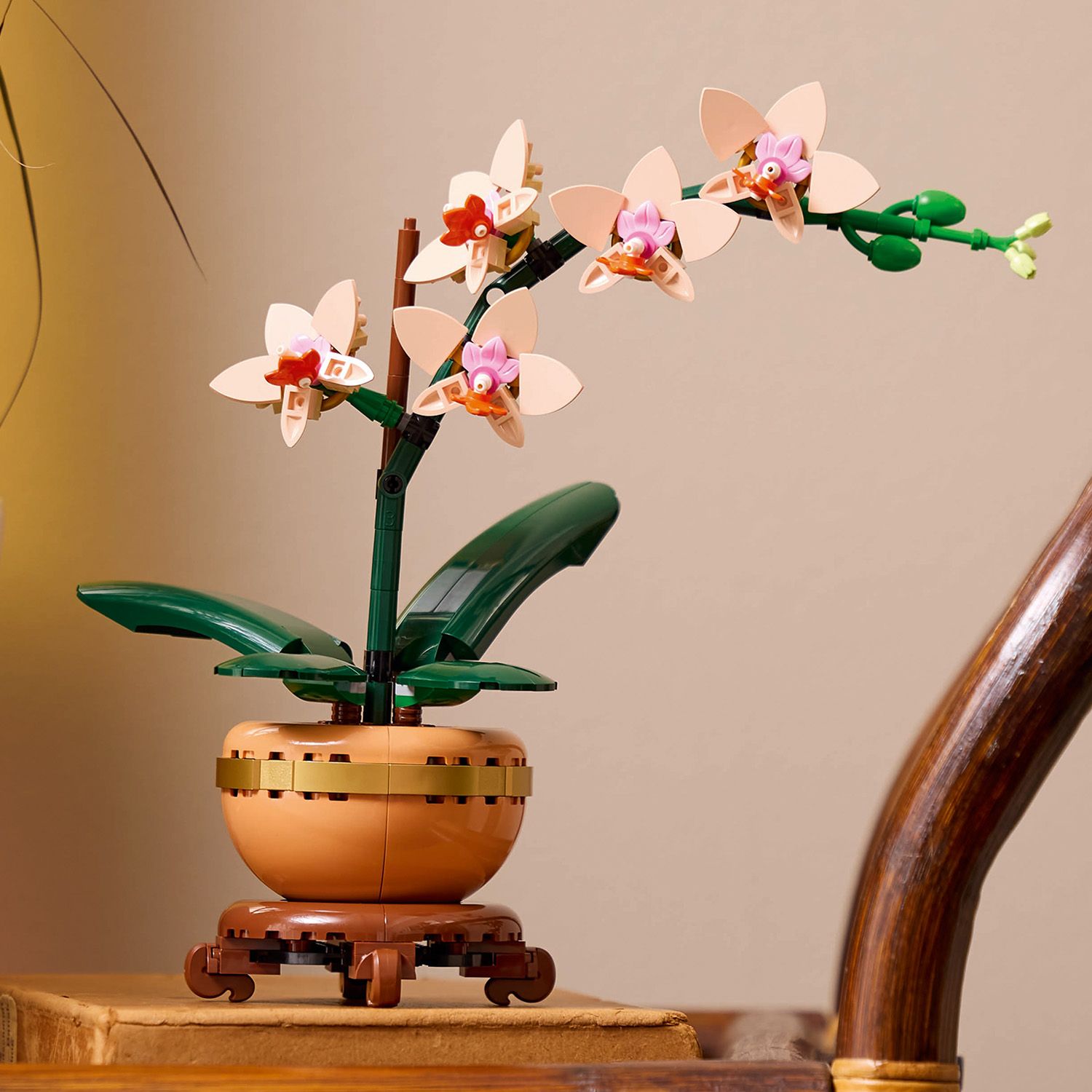 Botanicals Mini Orchid