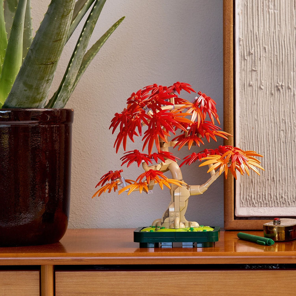 Botanicals Japanese Red Maple Bonsai Tree
