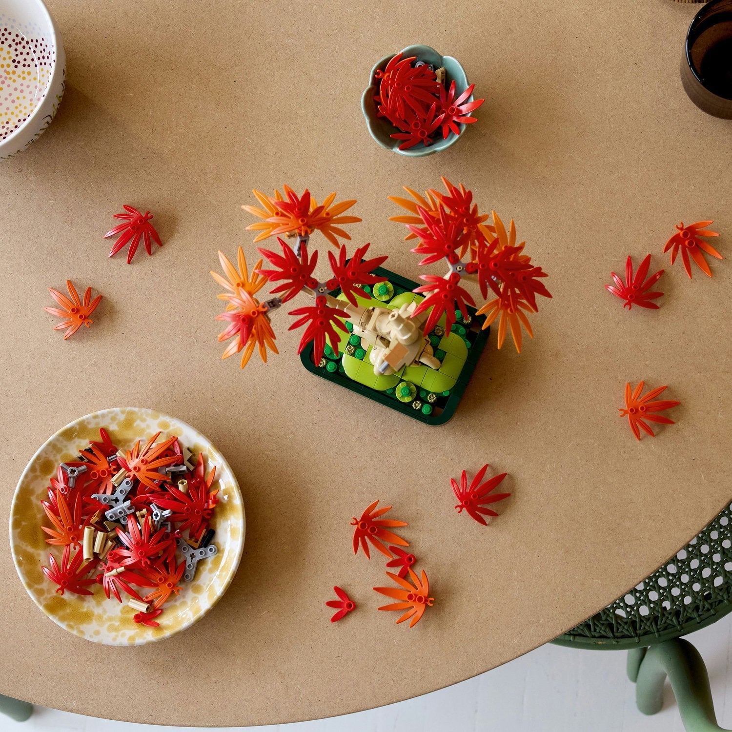 Botanicals Japanese Red Maple Bonsai Tree