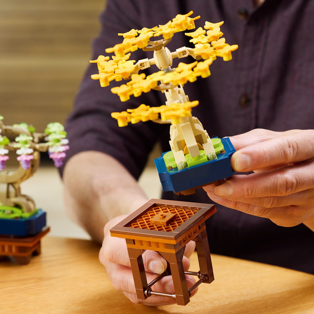 Botanicals Mini Bonsai Trees