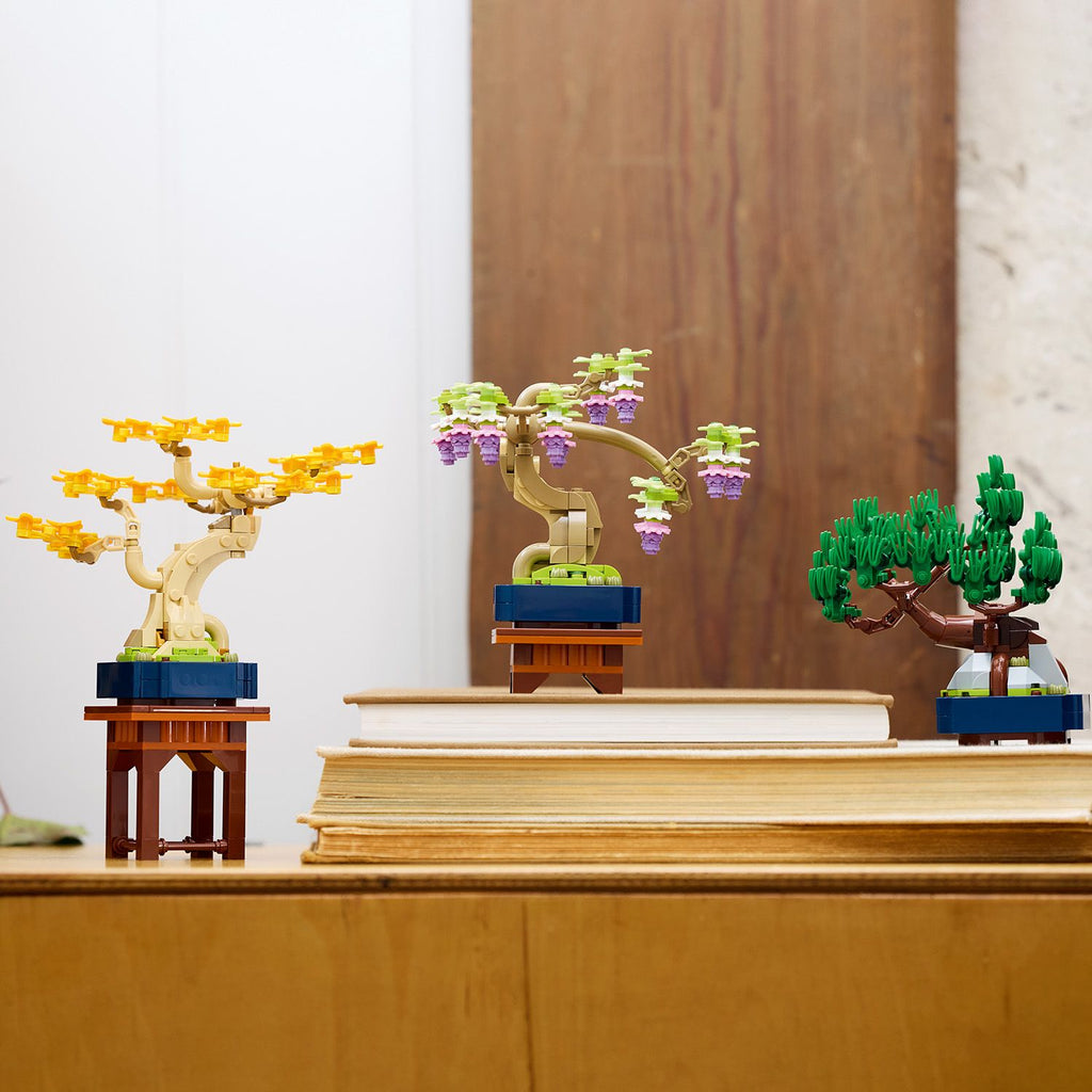 Botanicals Mini Bonsai Trees