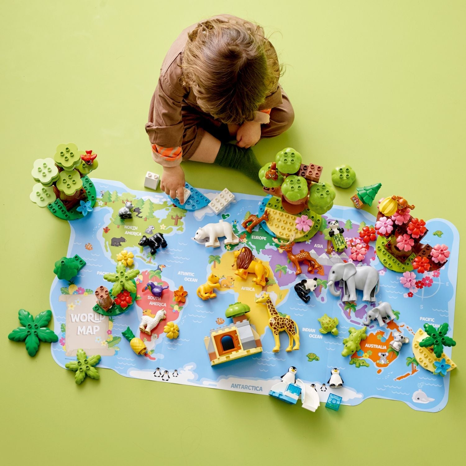 DUPLO™ Wild Animals of the World
