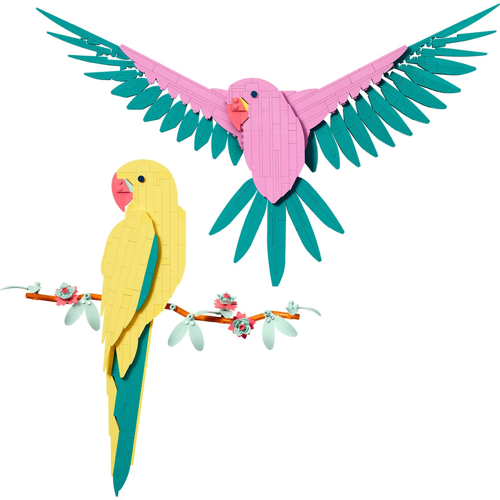 Art The Fauna Collection – Macaw Parrots