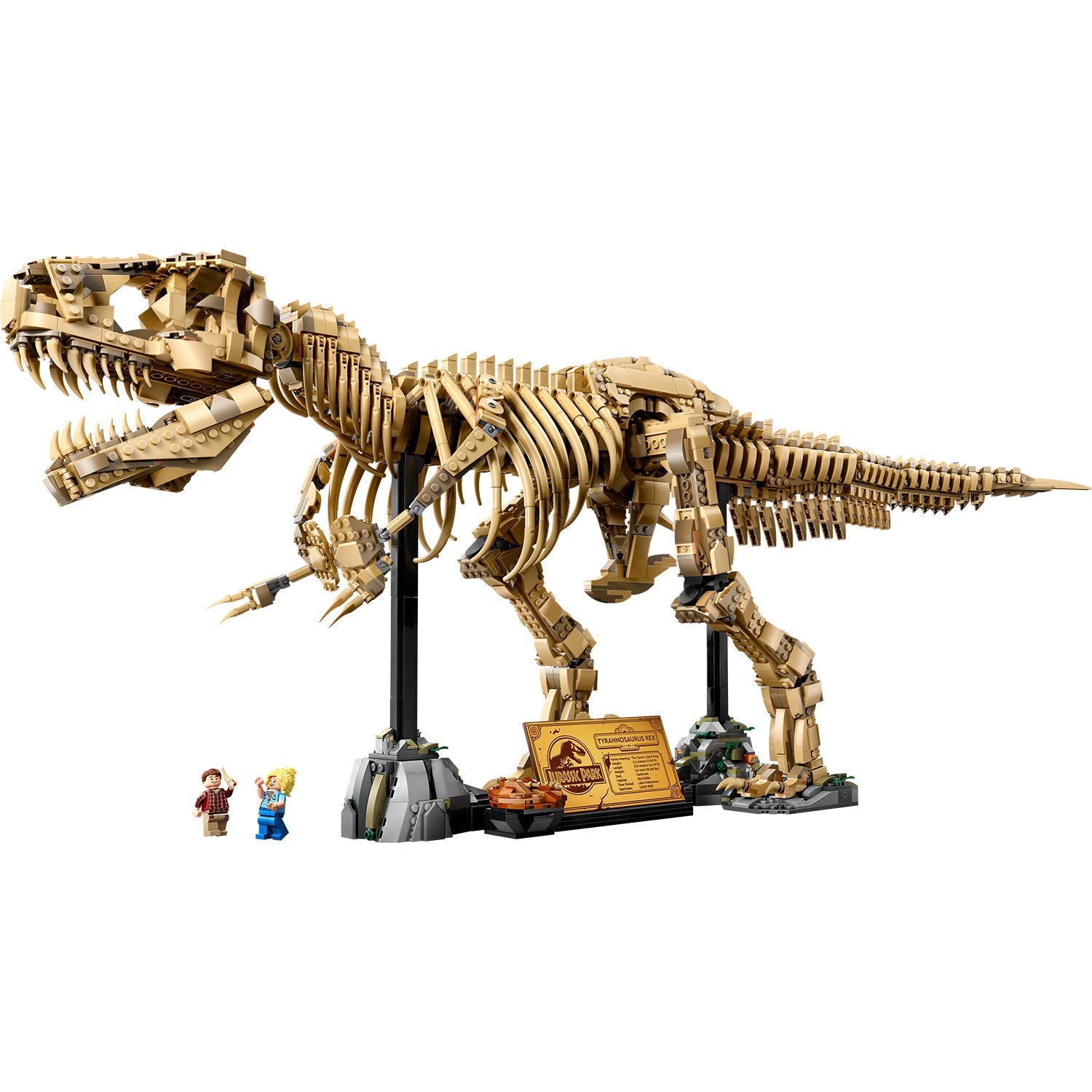 Jurassic World Dinosaur Fossils: Tyrannosaurus rex