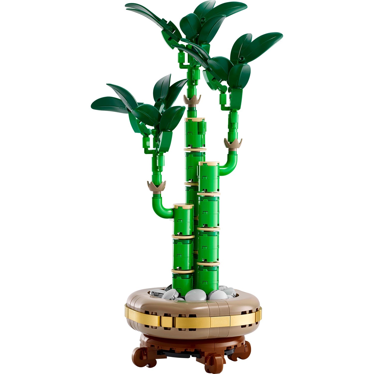 Botanicals Lucky Bamboo