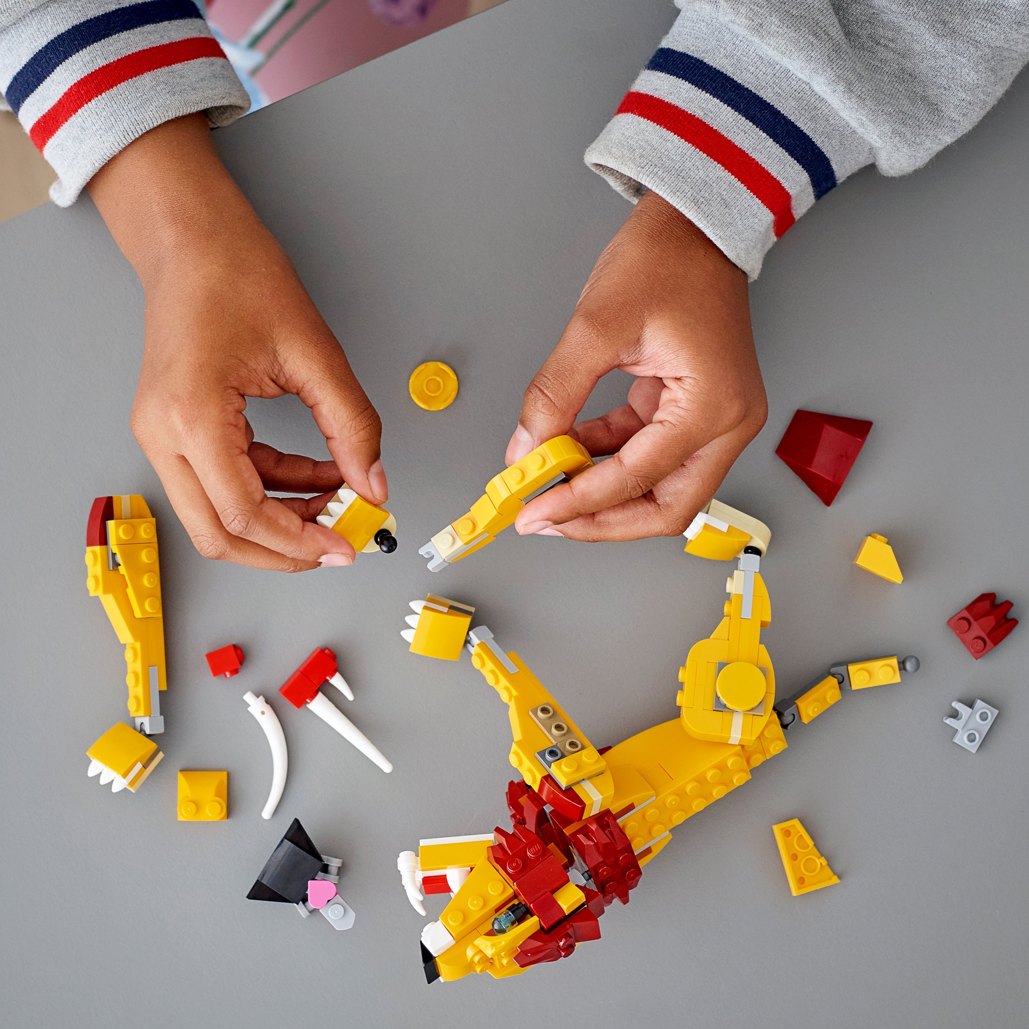 Creator 3-in-1 Wild Lion