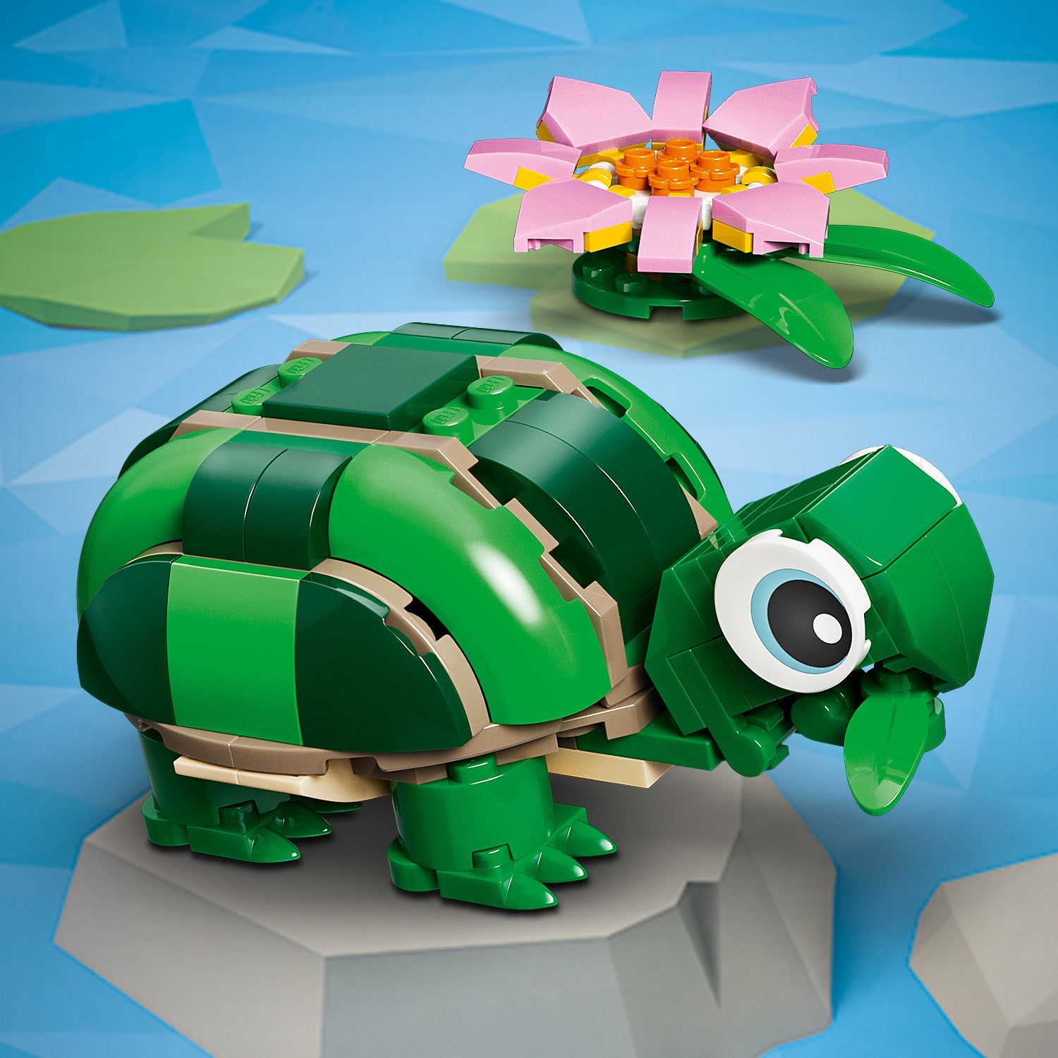 Creator 3-in-1 Turtle with a Water Lily Flower