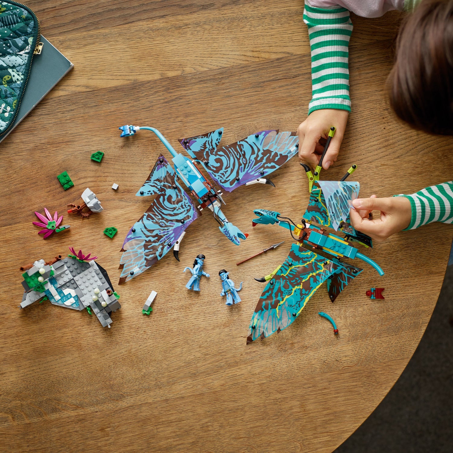 Avatar™ Jake & Neytiri’s First Banshee Flight