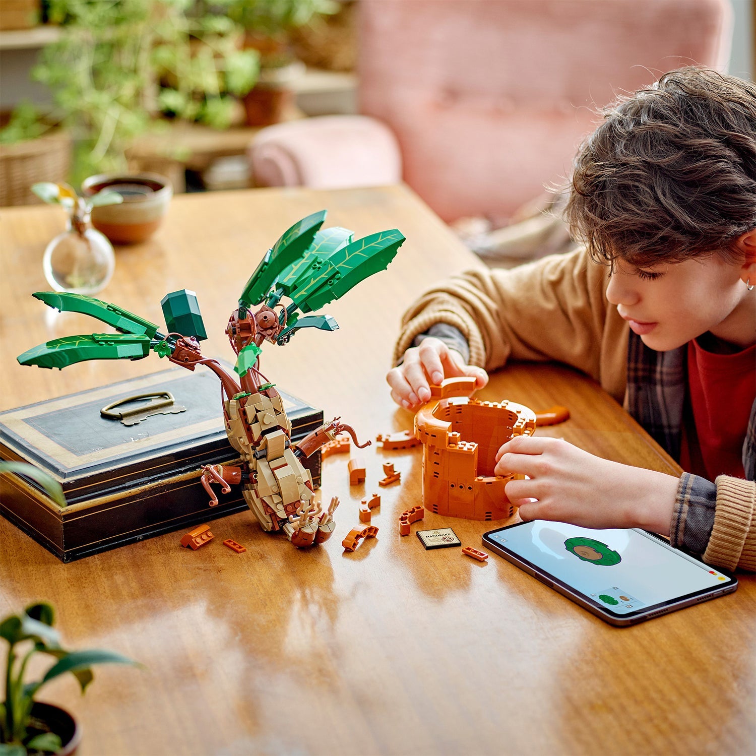 Harry Potter™ Mandrake