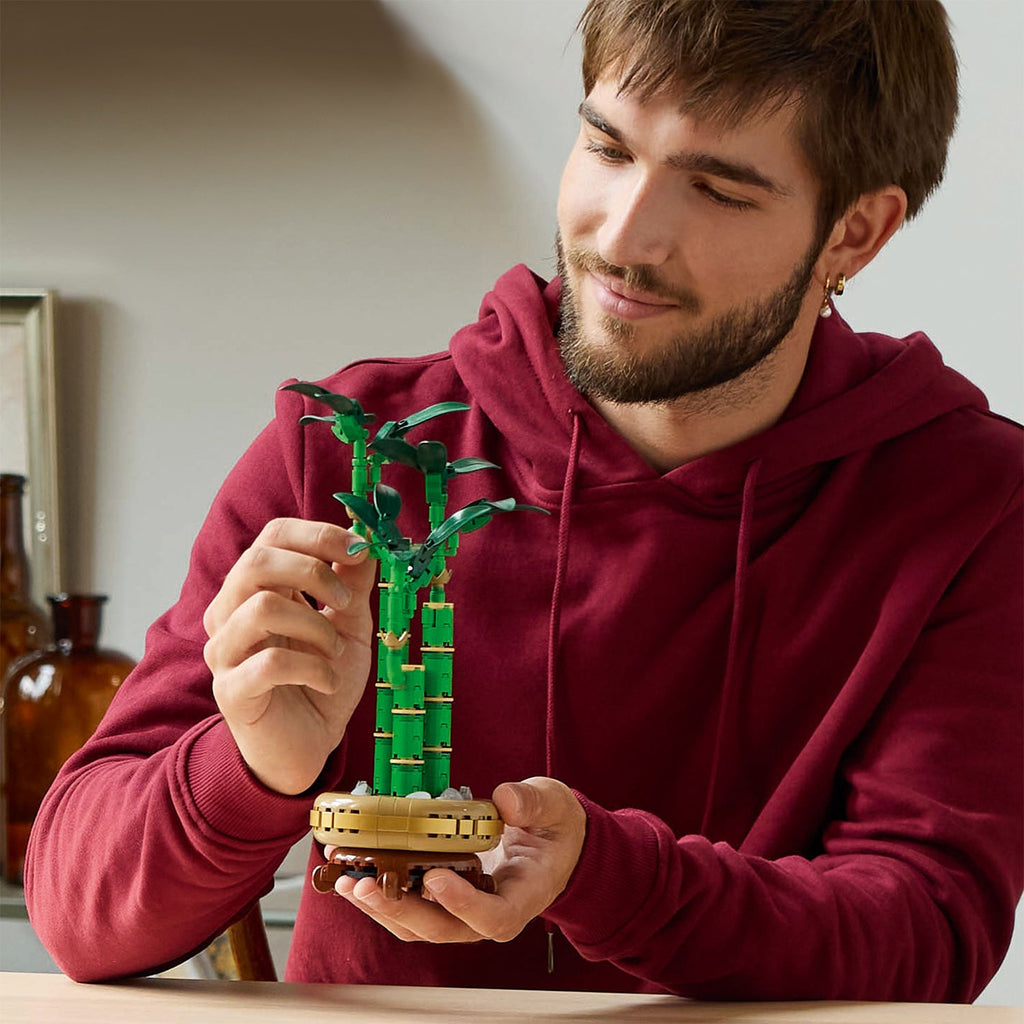 Botanicals Lucky Bamboo