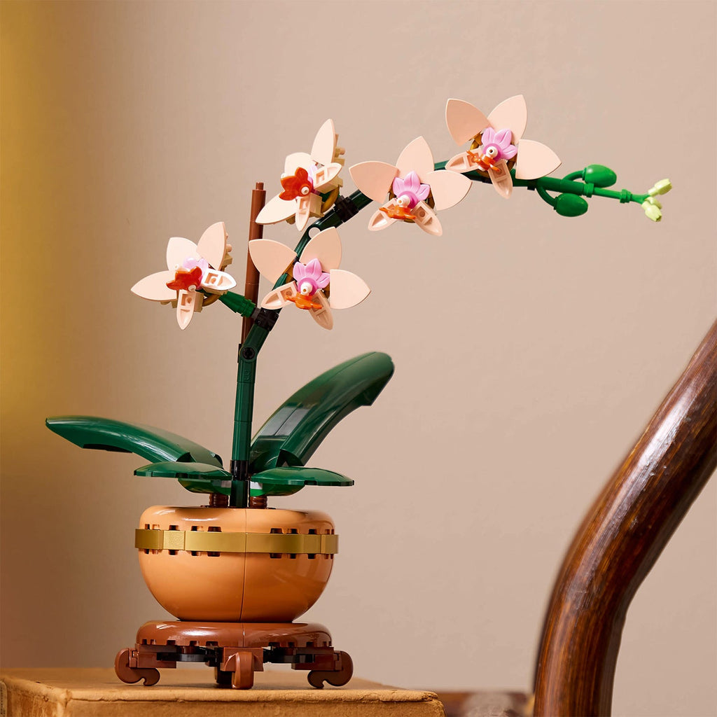 Botanicals Mini Orchid