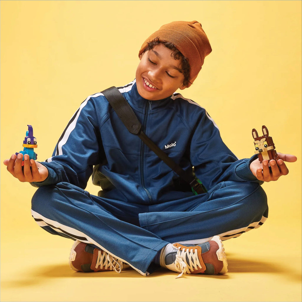 BrickHeadz™ Road Runner™ & Wile E. Coyote™