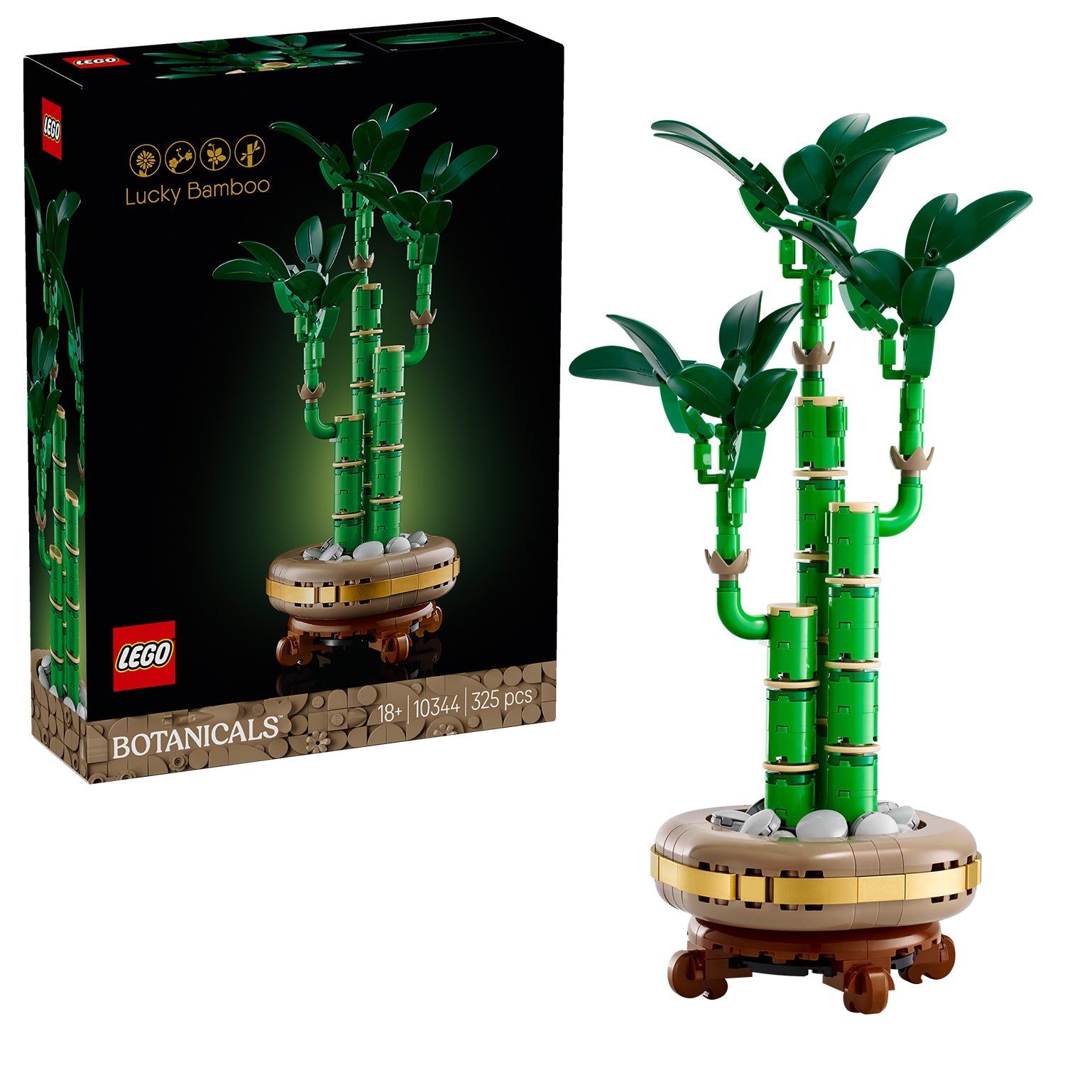 Botanicals Lucky Bamboo