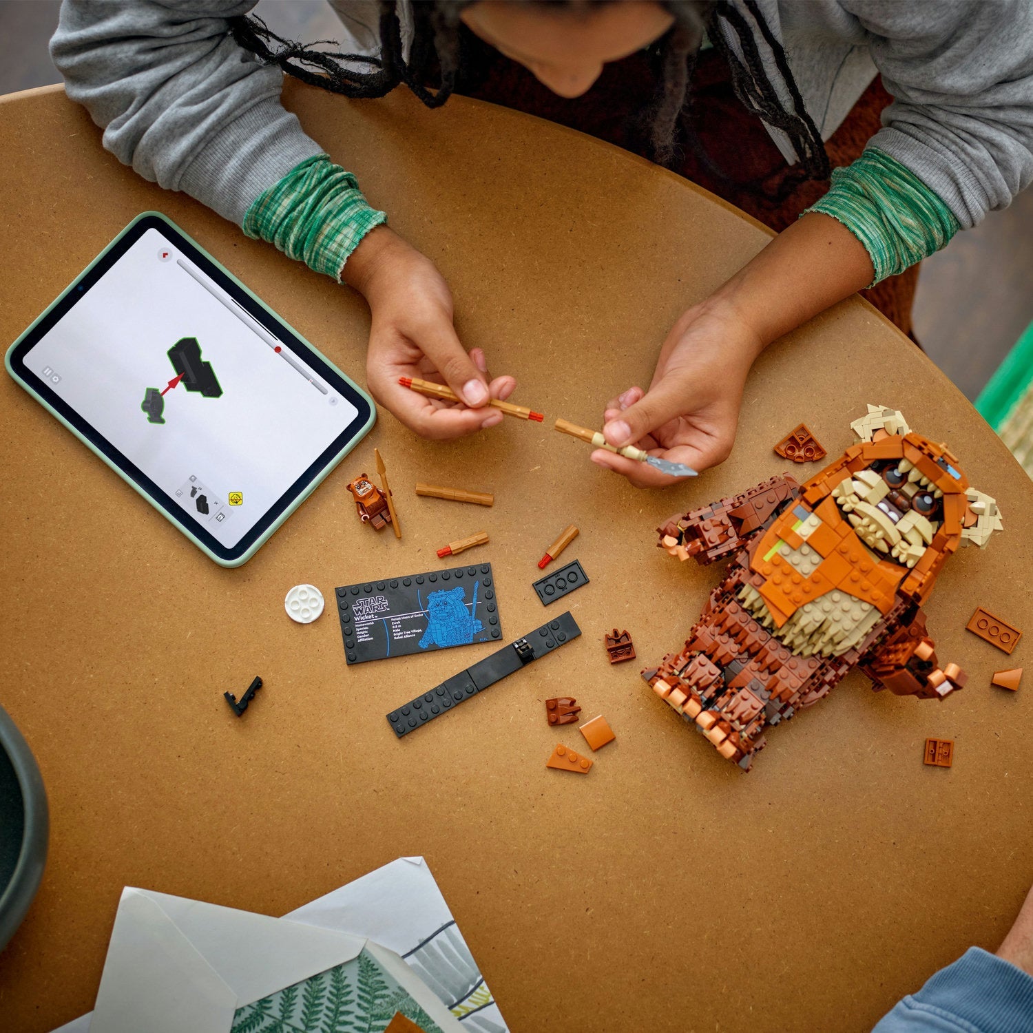 Star Wars™ Wicket the Ewok™