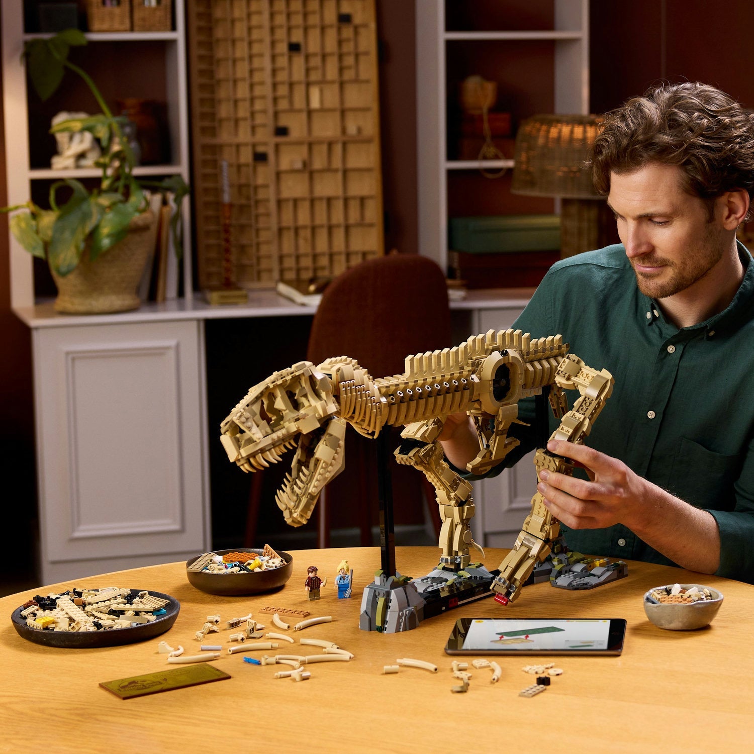 Jurassic World Dinosaur Fossils: Tyrannosaurus rex