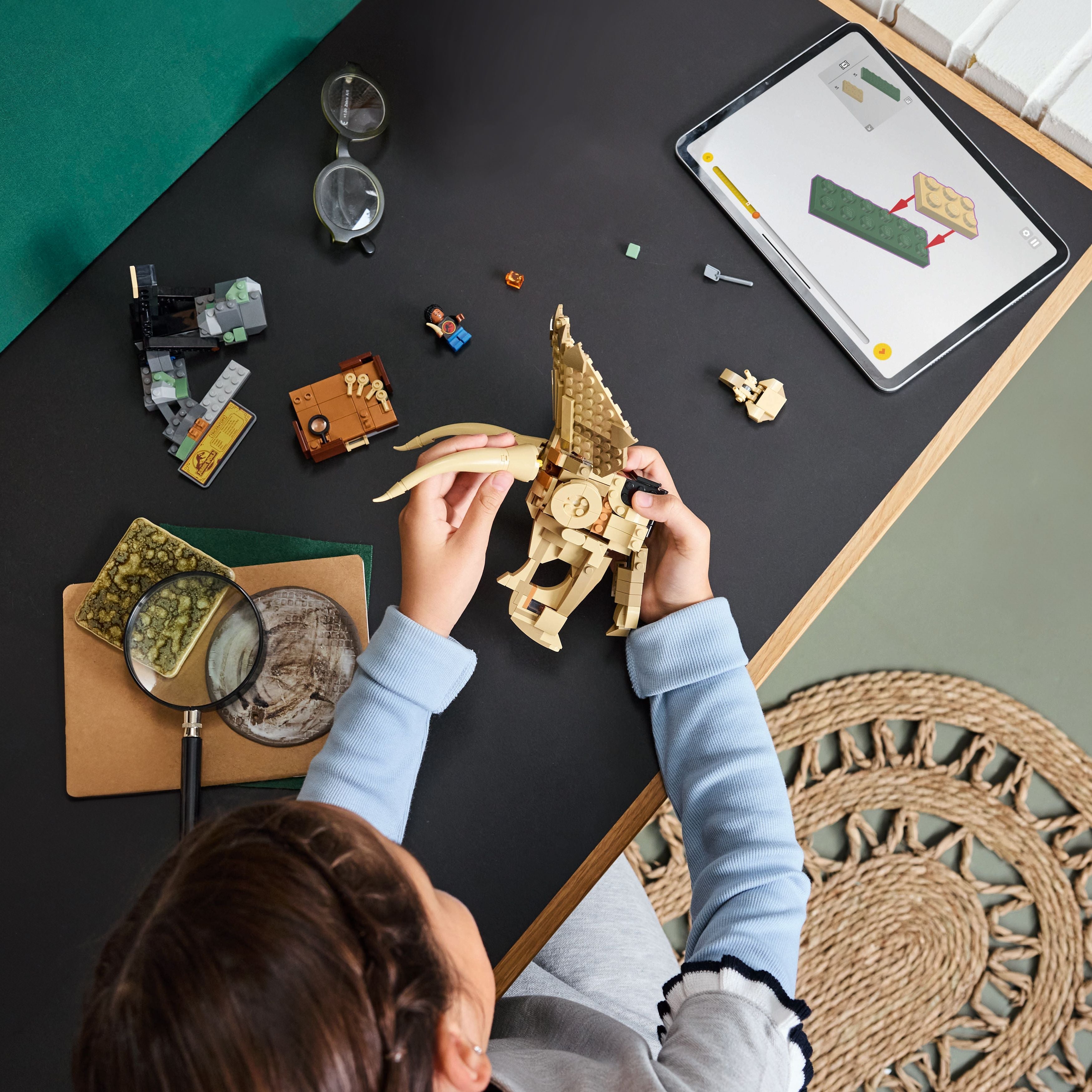 Jurassic World™ Dinosaur Fossils: Triceratops Skull