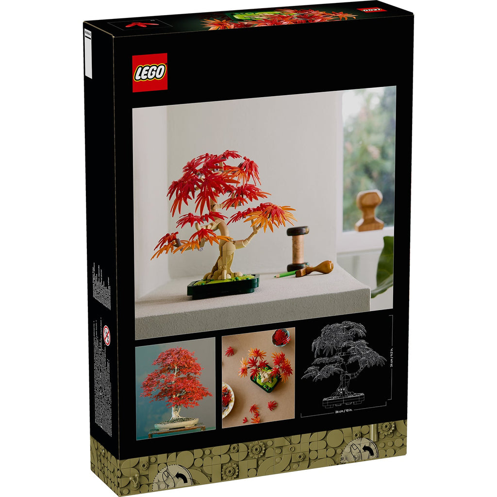 Botanicals Japanese Red Maple Bonsai Tree