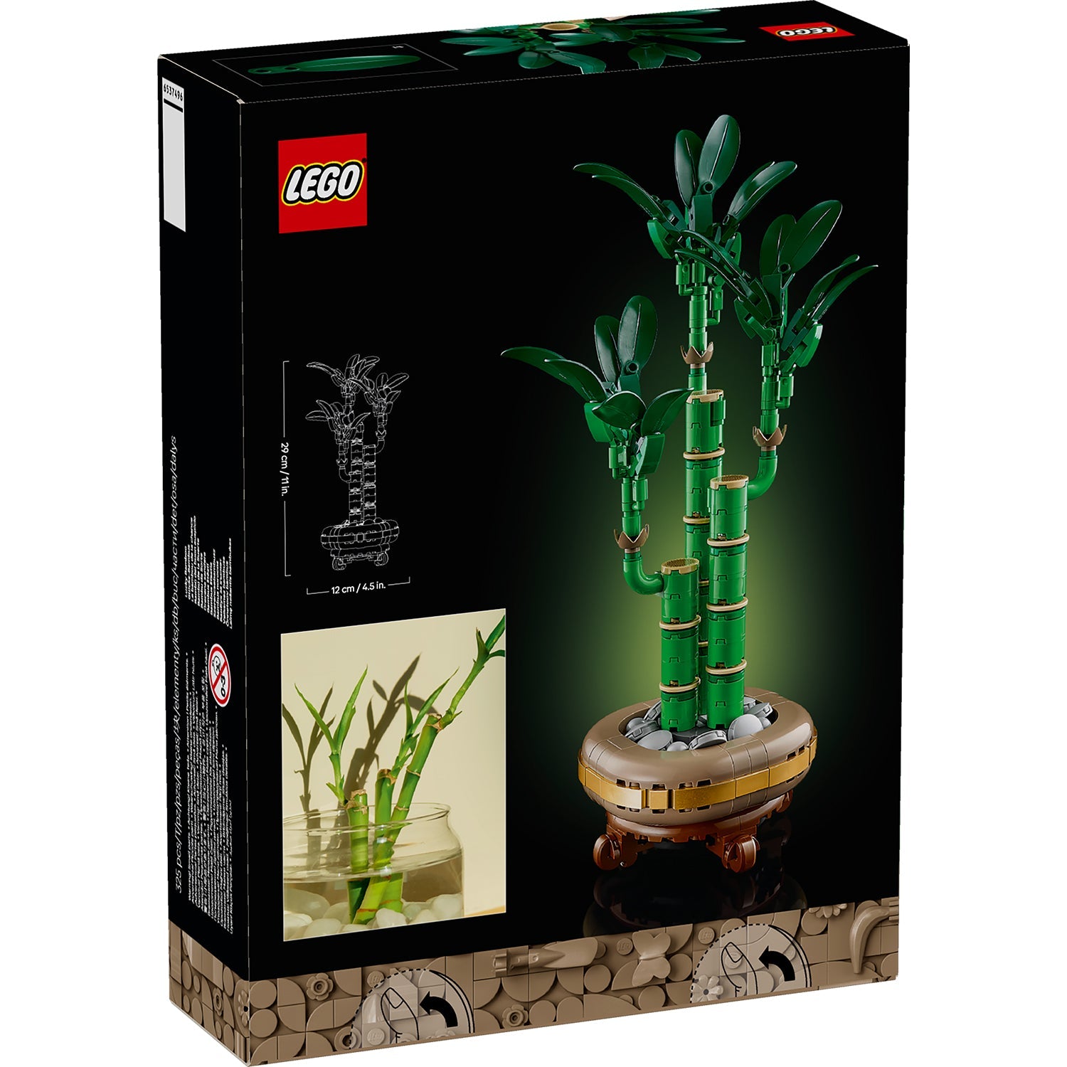Botanicals Lucky Bamboo