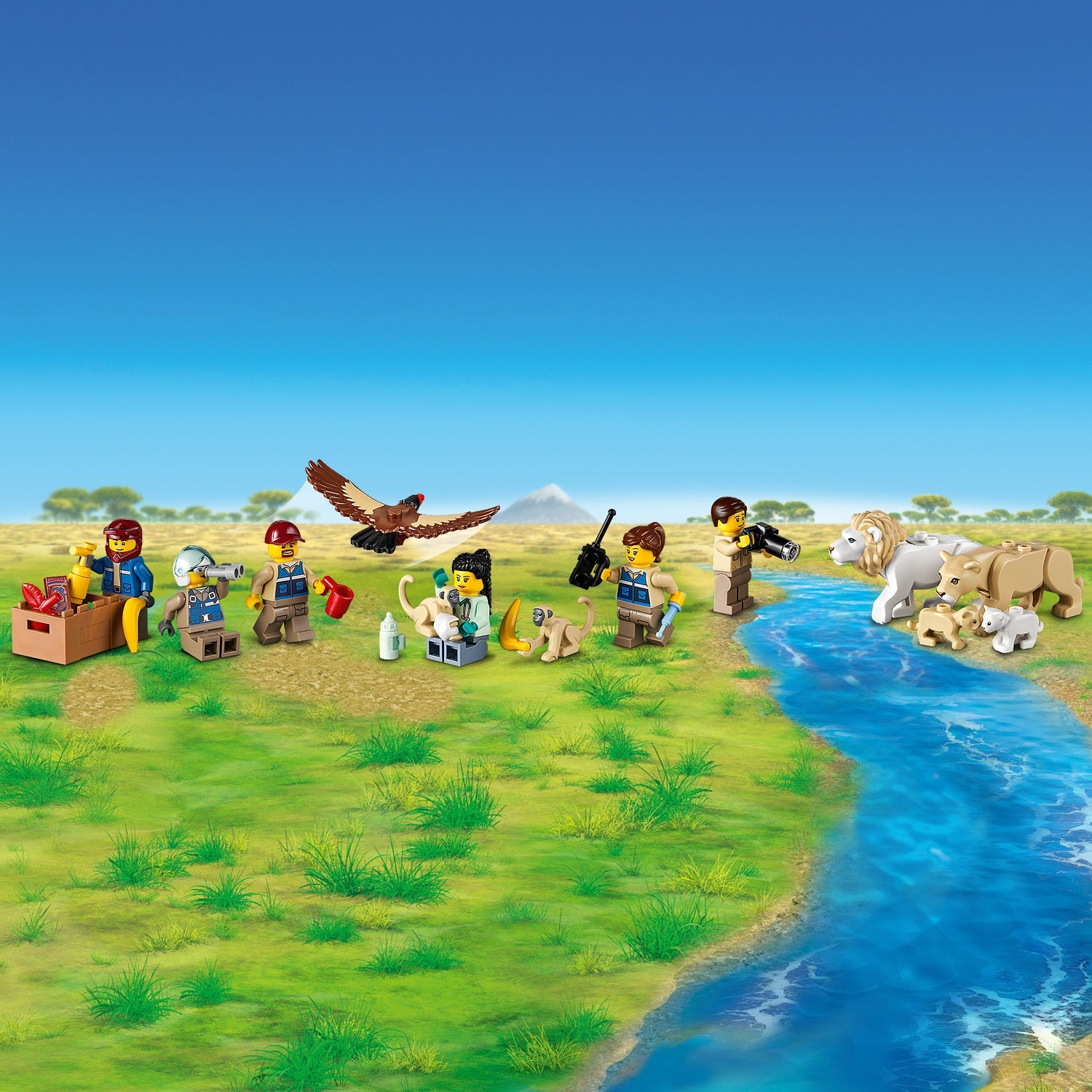 City Wildlife Rescue Camp