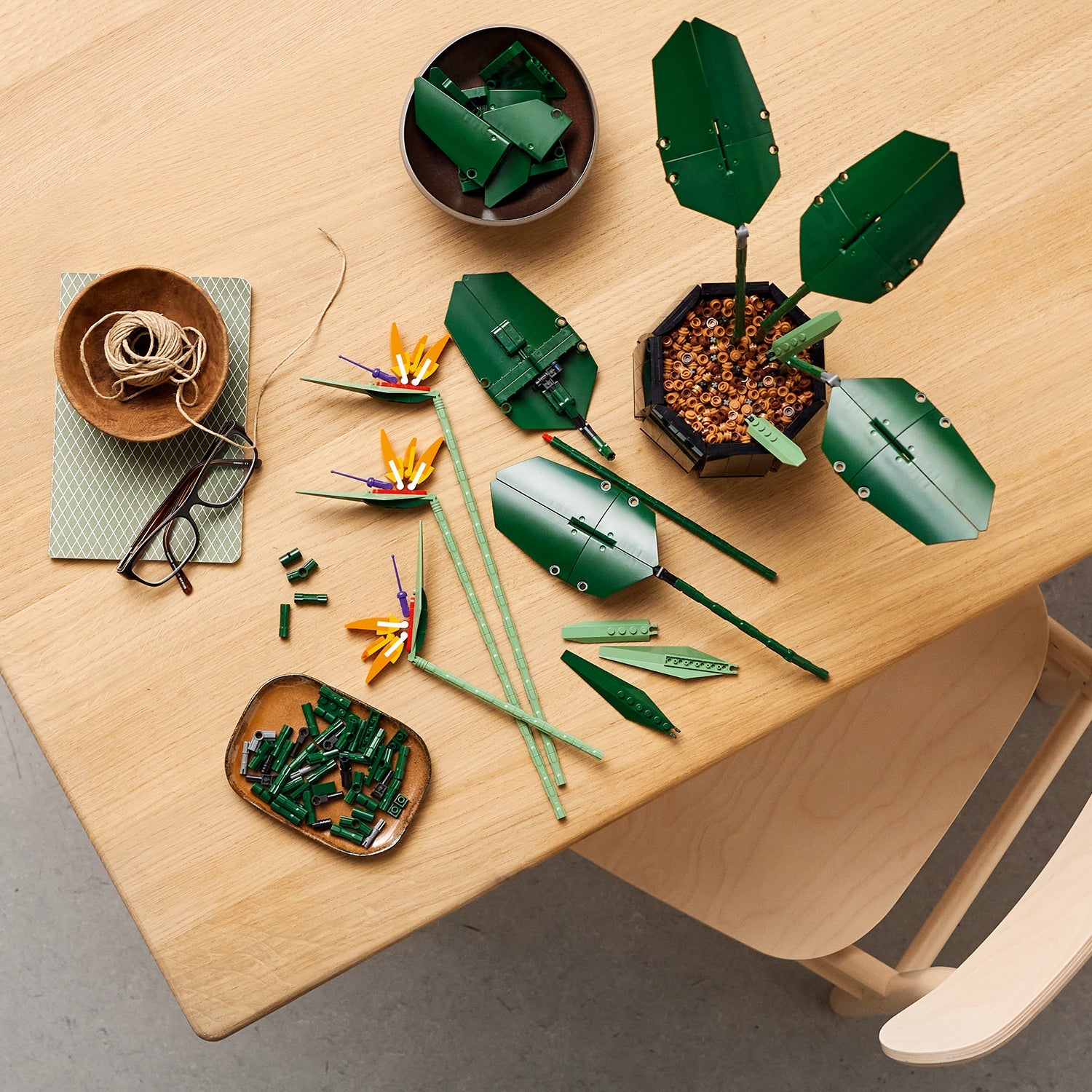 Creator Expert Bird of Paradise