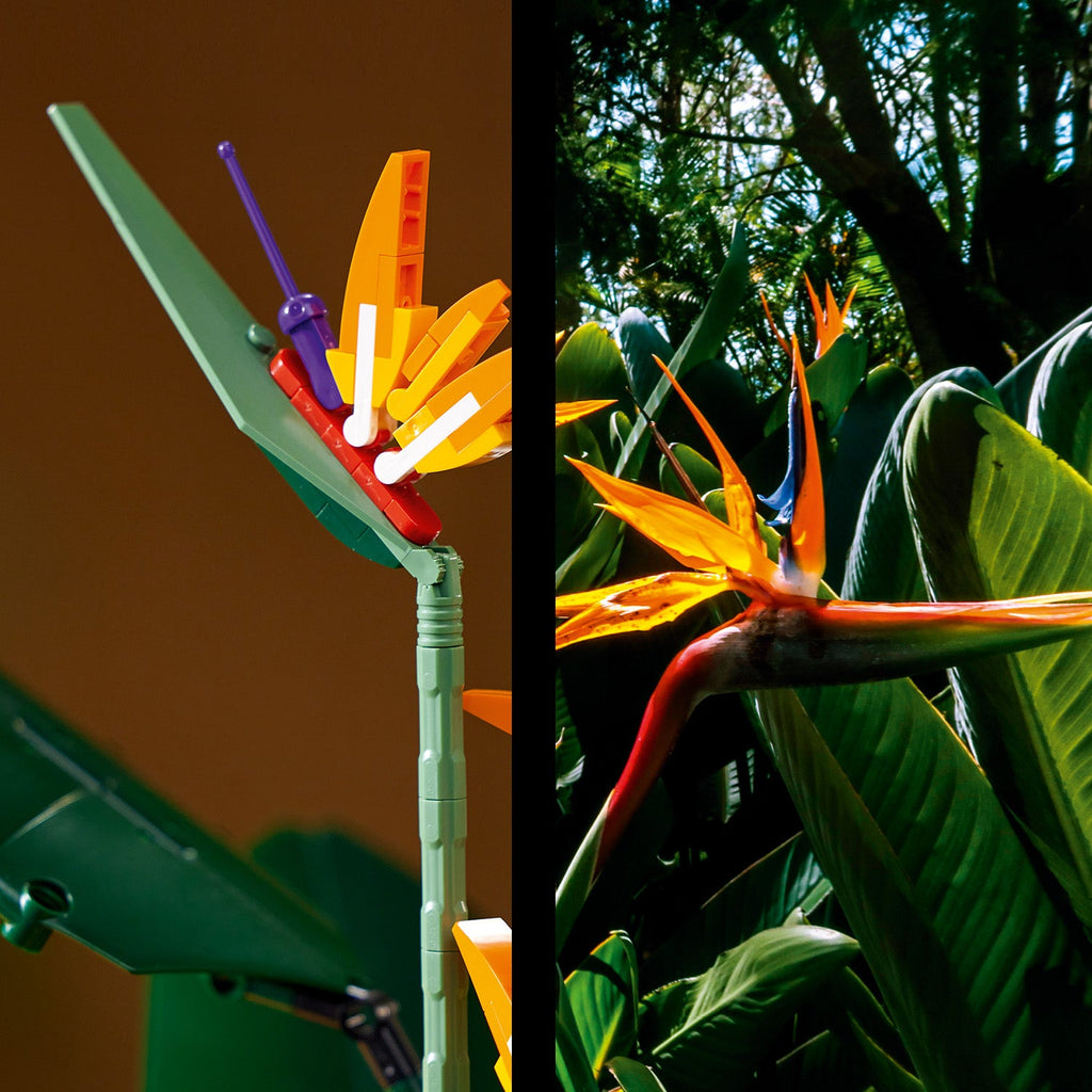 Creator Expert Bird of Paradise